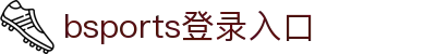 bsports(中国)B—sports登录入口